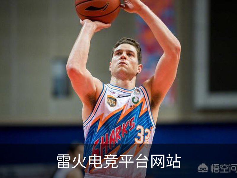 雷火电竞平台网站介绍